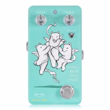 Animals Angel Bear