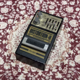 Guyatone DISTORTION-H PS-024所有個体の外観